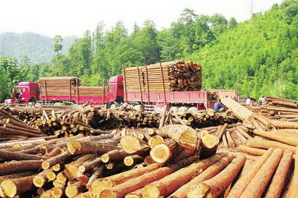 红木市场交投氛围偏冷 土豪消费6亿元能激活红木行业？