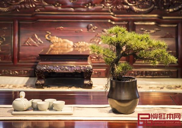  客厅的茶几上摆放横式盆景，颇有端庄大气之感（沁园居供图）