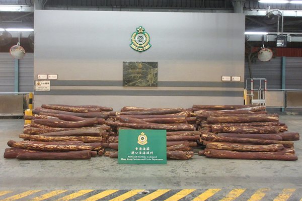 一周红木天下事：香港海关检获14300公斤疑似紫檀木材 | 第71期