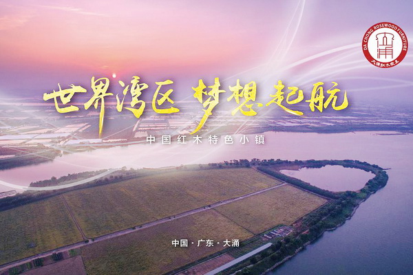 红木产区观察（三）：粤港澳大湾区怀内，这个红木家具产区如何定位?