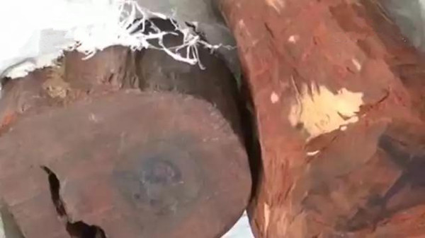 一周红木天下事：50余吨走私紫檀木被查获 | 第79期