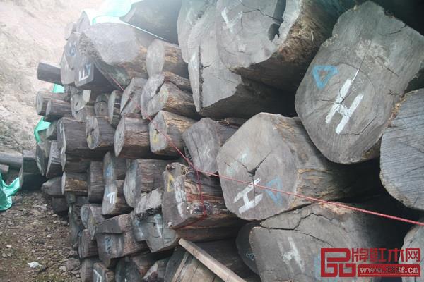古森红木在阔叶黄檀原产地印度尼西亚有自己的木材供应基地 古森红木在阔叶黄檀原产地印度尼西亚有自己的木材供应基地