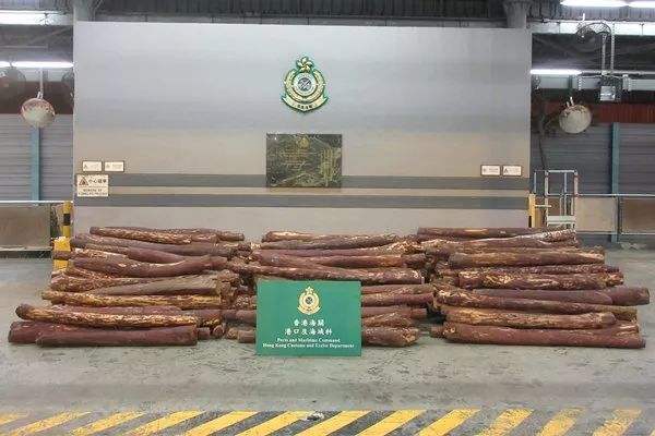 一周红木天下事：140吨走私红木将用于故宫文物修缮|第85期