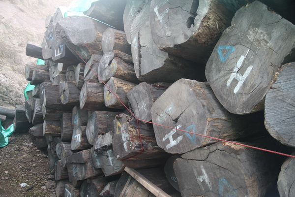 古森红木在阔叶黄檀原产地印度尼西亚有自己的原料供应基地 古森红木在阔叶黄檀原产地印度尼西亚有自己的原料供应基地