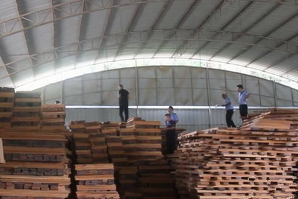 云南10万吨走私花梨、紫檀、红酸枝等木材被查，价值高达数亿元