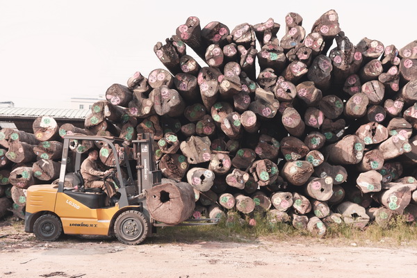 红木家具行业要以新的知识观审视木材问题