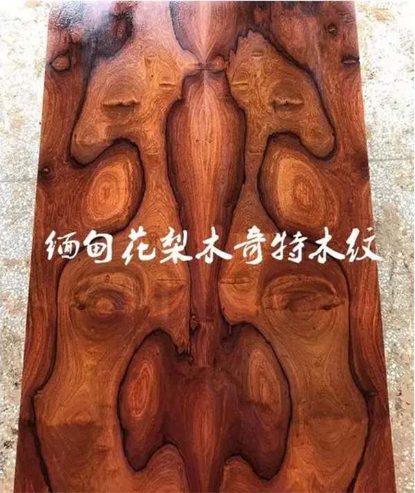 缅甸花梨——具升值潜力的木材