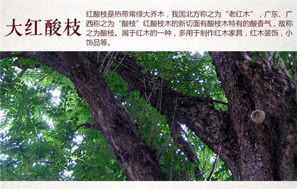 大红酸枝为什么被叫做“老红木”？