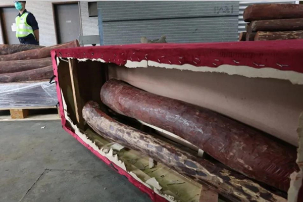 一周红木天下事：7.4吨走私紫檀木被查获，价值高达500万元|第118期