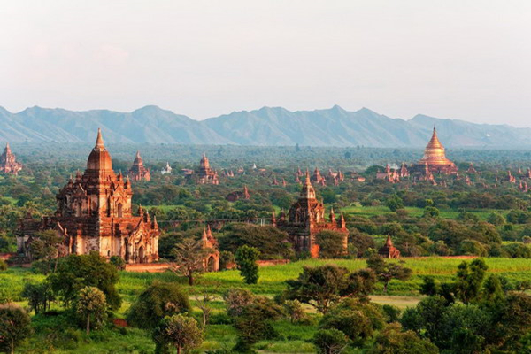 一周红木天下事：缅甸木材出口将减税|第121期