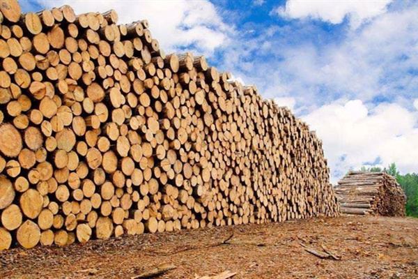 一周红木天下事：下半年木材需求预计好于上半年|第131期