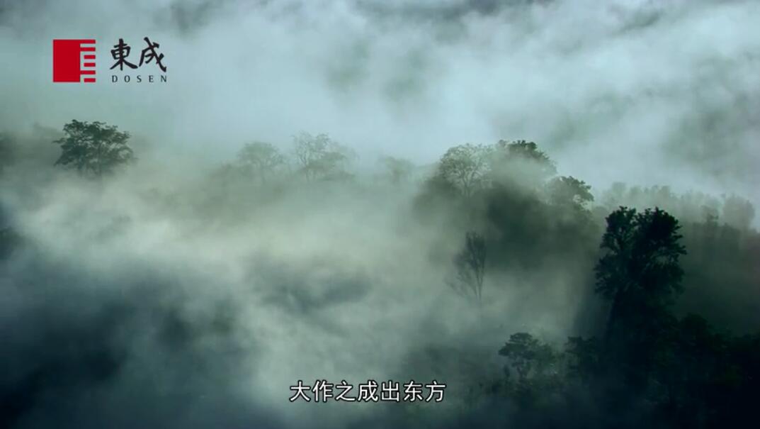 东成红木品牌宣传片