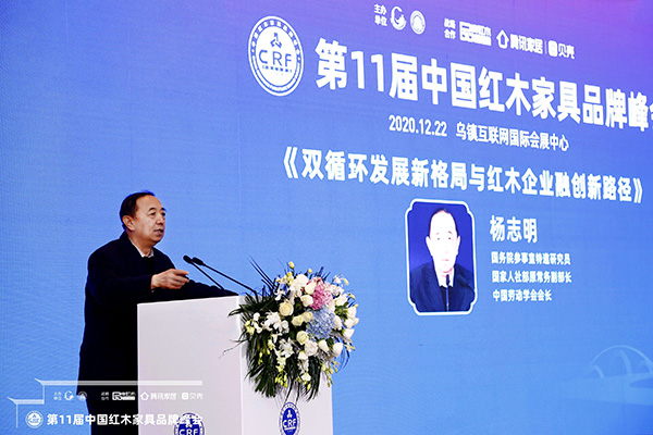 国务院参事室特邀研究员杨志明：双循环发展新格局与红木企业融创新路径
