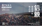 中国人信赖的红木家具 | 3毫米的旅程，每一件中信红木家具要走百年