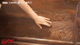 亭亭玉立的莲花、生机蓬勃的莲叶,充满了张力 亭亭玉立的莲花、生机蓬勃的莲叶,充满了张力