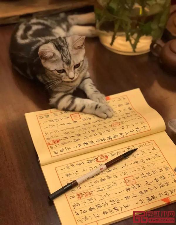 致远家具产品图 致远家具产品图