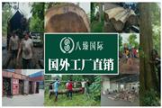 八臻国际，特具影响力阔叶黄檀木材供应商