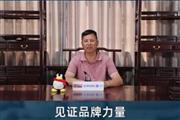 喜迎红红木董事长陆飞跃致敬中国品牌日