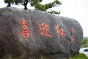 喜迎红获2022年度东阳市木雕红木家具骨干企业 展红酸枝品牌魅力
