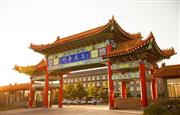巧夺天工红木 | 推进传统文化交流 展现“大国智造”之美