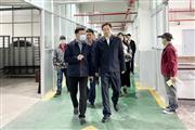 进车间、看生产，东阳市领导点赞喜迎红红木“骨干”企业风范