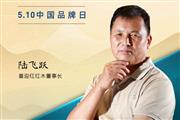 喜迎红红木董事长陆飞跃|2023中国红木品牌日特别策划