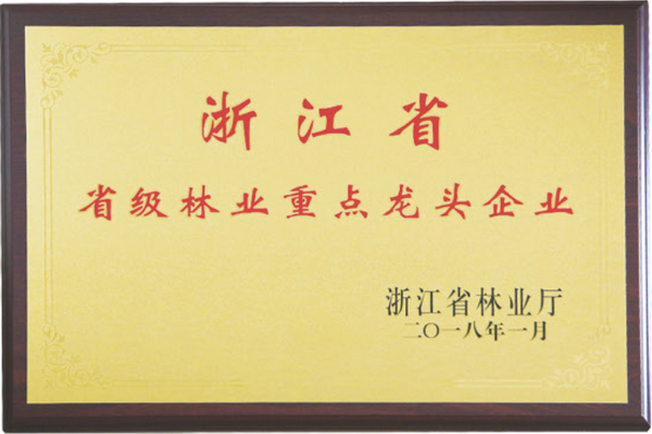 大成尚品荣获浙江省林业重点龙头企业