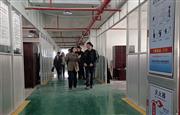 东阳副市长龚杭娟一行莅临喜迎红红木指导工作