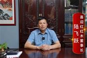 喜迎红红木董事长陆飞跃致敬2024中国品牌日