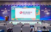 苏阳红荣膺“十大影响力”三大品牌奖项，熠熠生辉