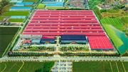 用心创新，筑梦百年——四大关键词，带您回顾巧夺天工的2024