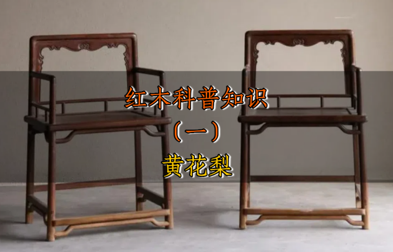 红木科普知识（一）：黄花梨
