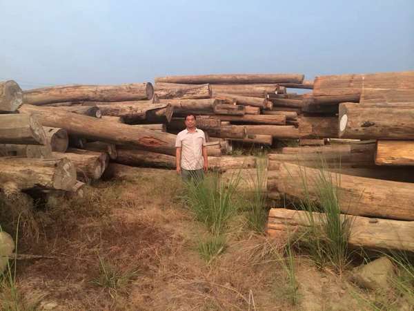 华夏一品红木：精工匠艺，铸就传世红木家具典范