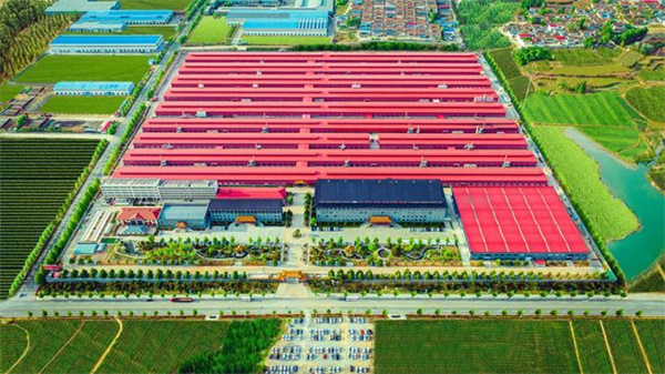 推荐做高端红木家具的厂家，巧夺天工红木值得关注