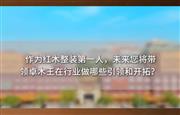 对话红木整装第一人杜长江系列采访(三)：卓木王推动中国高定发展