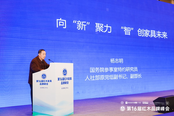 国务院参事室特约研究员、国家人社部原副部长杨志明为峰会做主题演讲