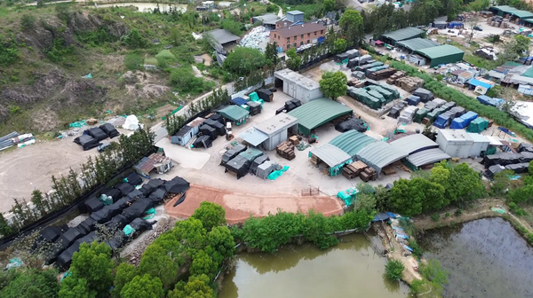 古森红木斥巨资储备的万吨珍稀木材，是对抗原材料价格波动与品质不稳定的压舱石